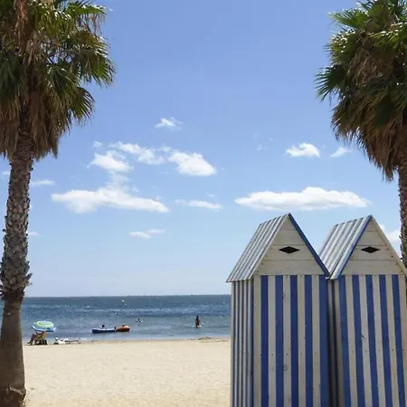 In Near Mediterranean Beaches